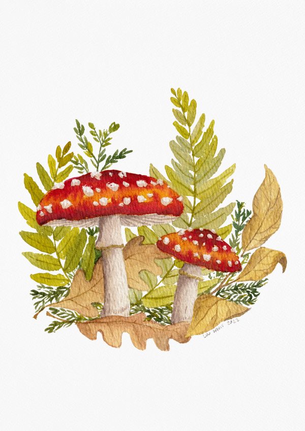 Fly agaric mushroom watercolour